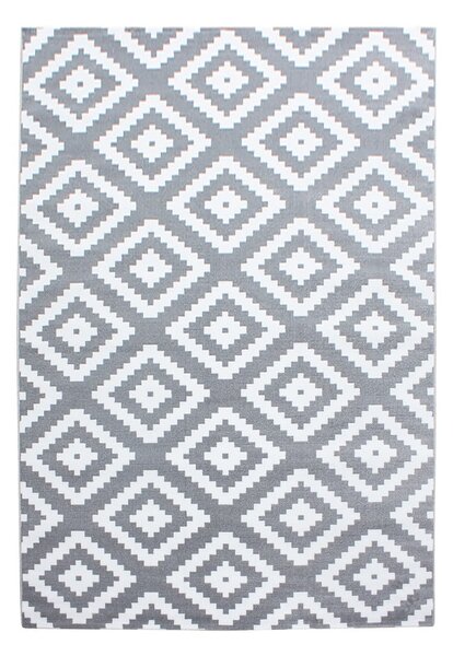 Jasnoszary dywan 160x230 cm Plus – Ayyildiz Carpets