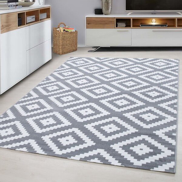 Jasnoszary dywan 160x230 cm Plus – Ayyildiz Carpets