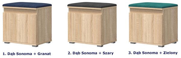 Minimalistyczna Szafka Na Buty Dąb Sonoma + Zielony P8-L19
