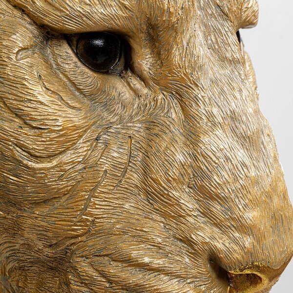KARE Kinkiet Animal Tiger Head, mosiężny / złoty, salon / jadalnia, tworzywo sztuczne