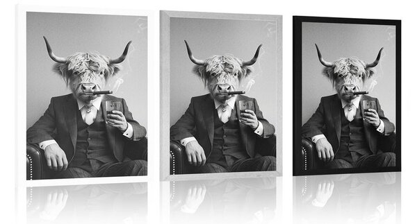 Plakat krowa w garniturze z cygarem i whisky