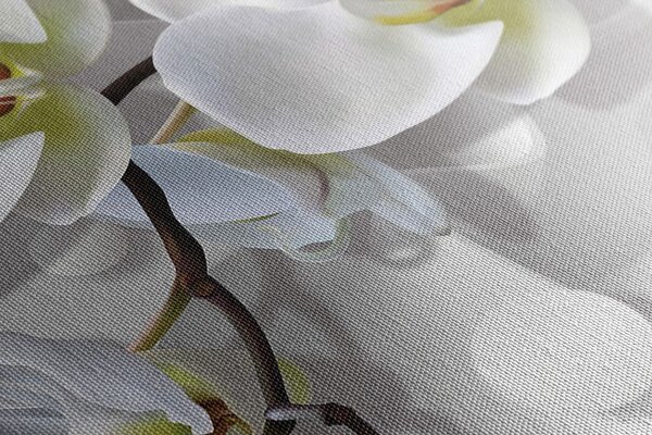 Obraz orchidea na abstrakcyjnym tle