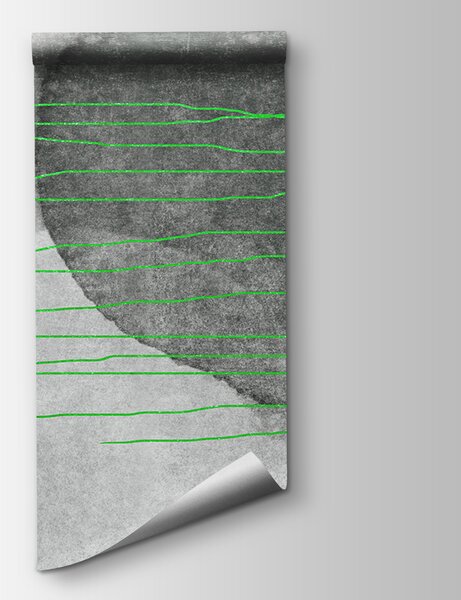 Fototapeta Szaro-białe tło z zielonymi liniami, Fototapety design, Popularne Fototapety, u78579v3 - Tapeko.pl