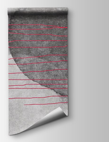 Fototapeta Czarno-biały obraz z czerwonymi liniami, Fototapety design, Popularne Fototapety, u78579v2 - Tapeko.pl