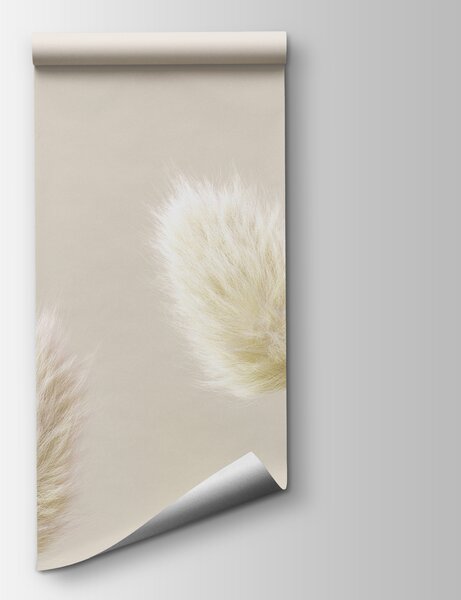 Fototapeta Grupa białych puszystych kwiatów, Fototapety Natura, Popularne Fototapety, u98432v1 - Tapeko.pl