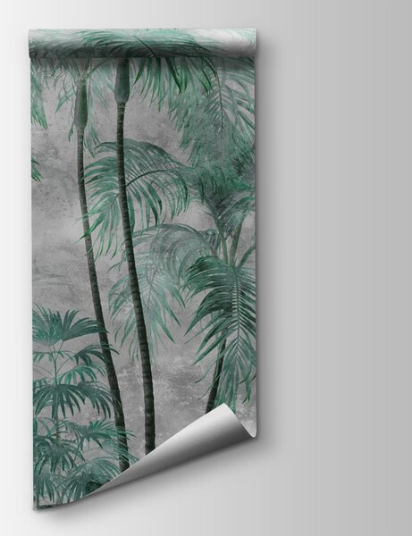 Fototapeta Grupa palm, Fototapety Palmy, Popularne Fototapety, u98586v1 - Tapeko.pl