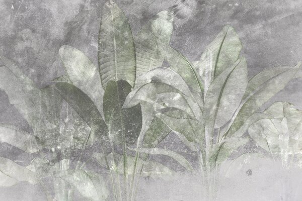 Fototapeta Botaniczna elegancja w miękkich teksturach, Fototapety Kamienie, Popularne Fototapety, u73884v2 - Tapeko.pl