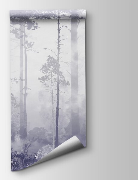 Fototapeta Mglisty las z wysokimi drzewami, Fototapety Las we mgle, Popularne Fototapety, u94439v4 - Tapeko.pl