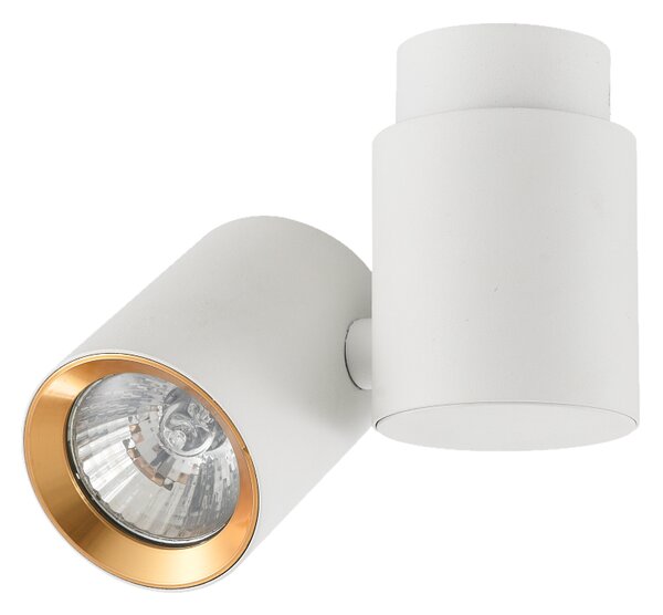 Boston 1 reflektor biały ze złotym ringiem LP-741/1W WH/GD Light Prestige
