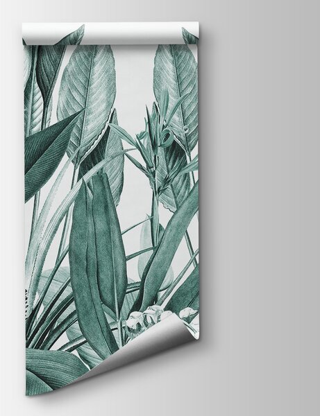 Fototapeta Tropikalne liście w harmonijnej zieleni, Fototapety Dżungla, Popularne Fototapety, u96833v3 - Tapeko.pl