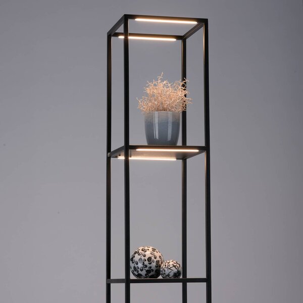 Paul Neuhaus Lampa stojąca LED Conni, możliwość ściemniania, czarny, salon / jadalnia, metal, nowoczesny