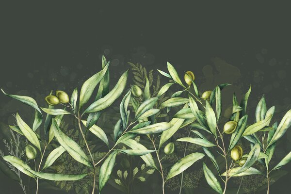 Fototapety Ilustracja oliwek, kwiatowy wzór, tropikalny, akwarela, duże liście, ciemne, Fototapety Natura, Fototapety Liście, w00407v4 : Uwalls.pl