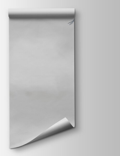Fototapeta Ważka latająca na niebie, Fototapety Natura, Popularne Fototapety, w00558v4 - Tapeko.pl