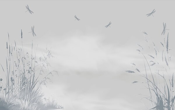 Fototapeta Ważka latająca na niebie, Fototapety Natura, Popularne Fototapety, w00558v4 - Tapeko.pl