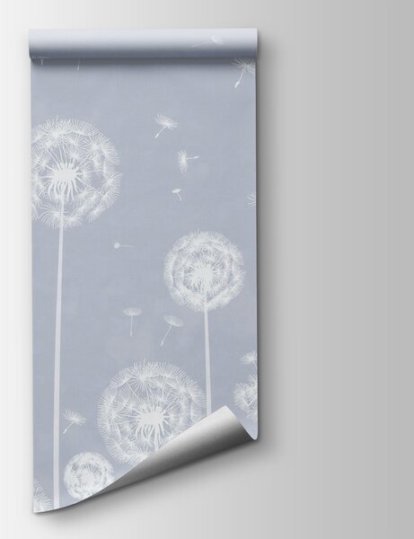Fototapeta Białe mlecze latające w powietrzu, Fototapety Natura, Popularne Fototapety, w00657v2 - Tapeko.pl
