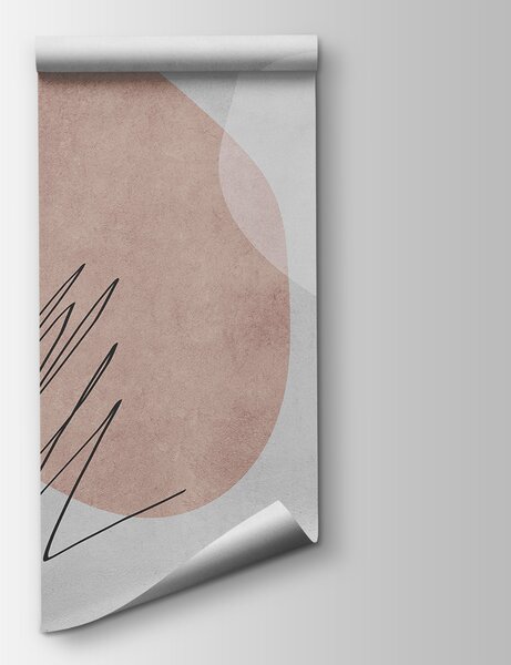 Fototapeta Biało-różowe tło z czarnymi liniami i okręgami, Fototapety design, Popularne Fototapety, w00815v2 - Tapeko.pl