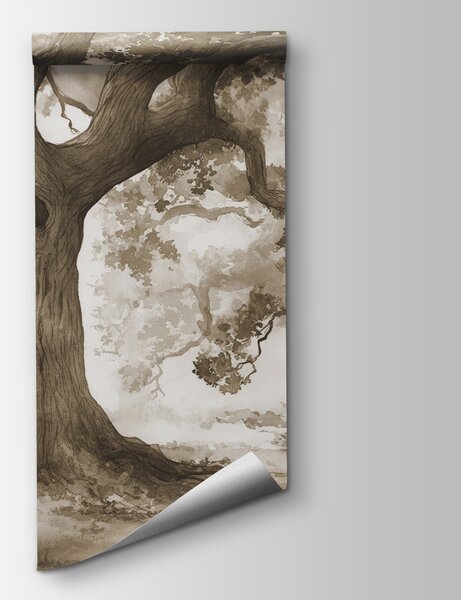 Fototapeta Grupa drzew z dziurą w pniu, Fototapety las dla dzieci, Popularne Fototapety, w01182v1 - Tapeko.pl