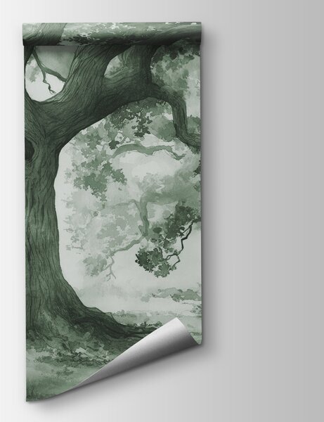 Fototapeta Grupa drzew w mglistym lesie, Fototapety Natura, Popularne Fototapety, w01182v3 - Tapeko.pl