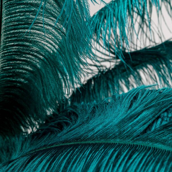 KARE Lampa stojąca designerska Feather Palm, mosiężny / złoty, salon / jadalnia, metal, design