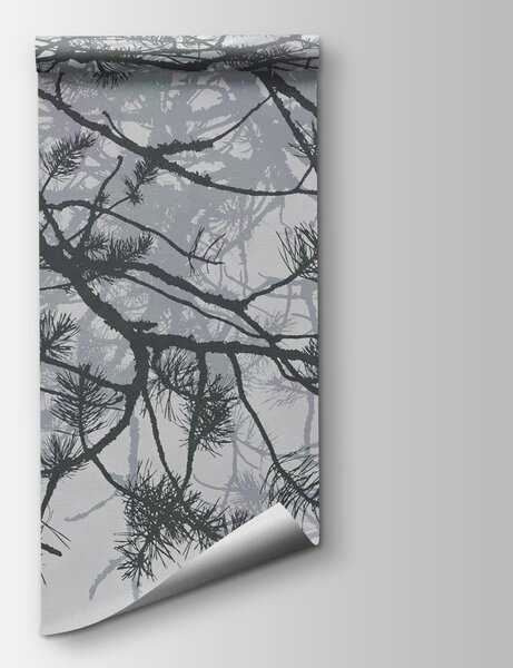 Fototapeta Gałęzie drzew z igłami, Fototapety Natura, Popularne Fototapety, w08166v1 - Tapeko.pl