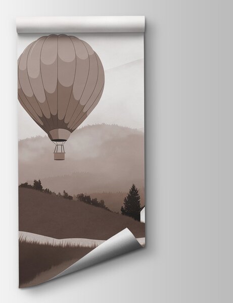 Fototapeta Grupa balonów na ogrzane powietrze lecących nad wioską, Fototapety Balony, Popularne Fototapety, w01376v1 - Tapeko.pl