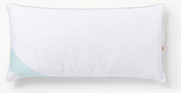 Poduszka z pierza i puchu Comfort, miękka