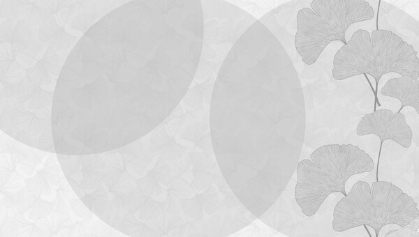 Fototapeta Szare i białe tło z okręgami i liniami, Fototapety 3d liście, Popularne Fototapety, w01465v3 - Tapeko.pl