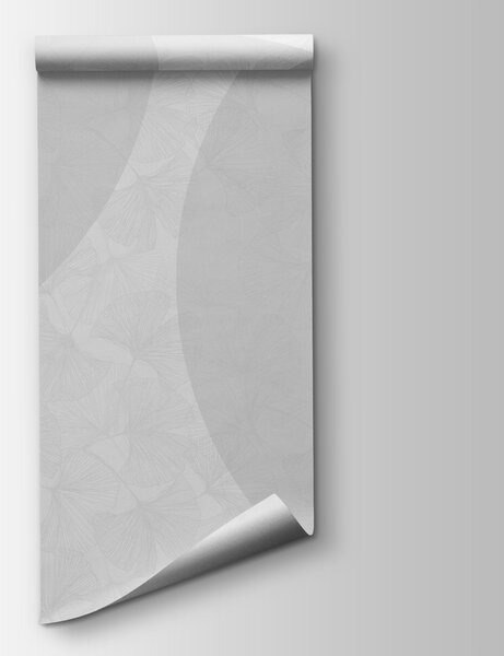 Fototapeta Szare i białe tło z okręgami i liniami, Fototapety 3d liście, Popularne Fototapety, w01465v3 - Tapeko.pl