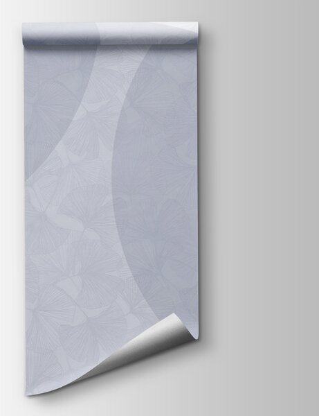 Fototapeta Białe i niebieskie tło z okręgami i liniami, Fototapety 3d liście, Popularne Fototapety, w01465v1 - Tapeko.pl