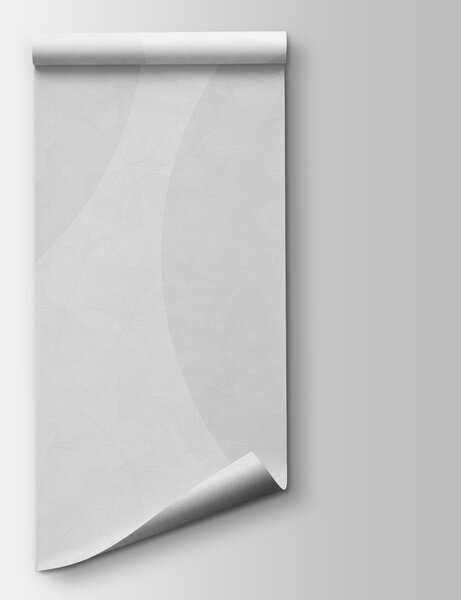 Fototapeta Białe tło z okręgami i liniami, Fototapety Abstrakcja, Popularne Fototapety, w01466v1 - Tapeko.pl