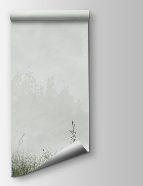 Fototapeta Mglisty krajobraz z drzewami i trawą, Fototapety Natura, Popularne Fototapety, w01547v2 - Tapeko.pl