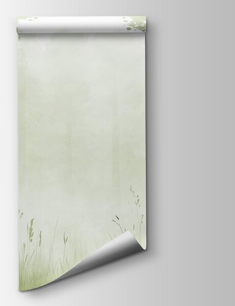 Fototapeta Mglisty las z drzewami i trawą, Fototapety Natura, Popularne Fototapety, w01563v2 - Tapeko.pl