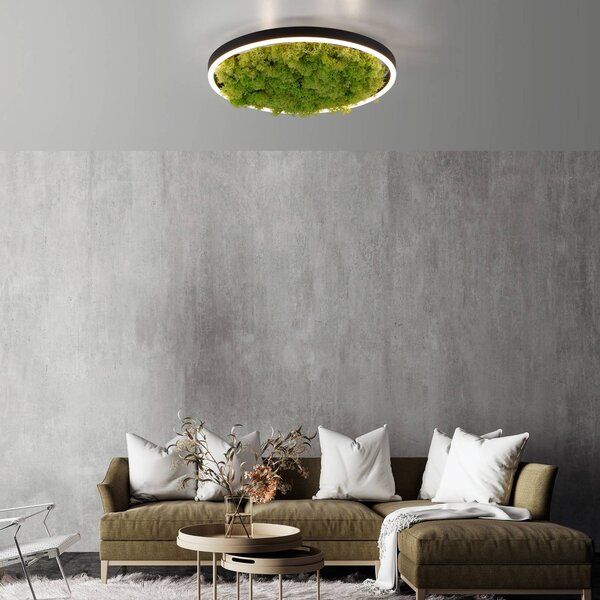 JUST LIGHT. GmbH Lampa sufitowa LED Green Ritus, możliwość ściemniania, zielony, salon / jadalnia, nowoczesny