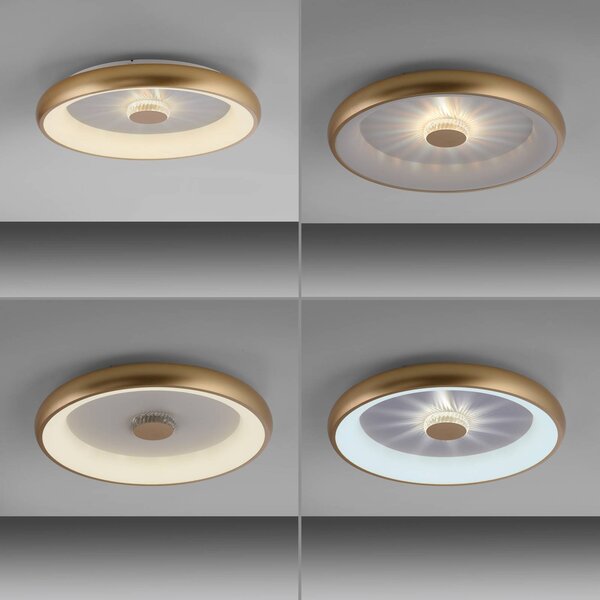 JUST LIGHT. GmbH Lampa sufitowa LED Vertigo, możliwość ściemniania, mosiężny / złoty, salon / jadalnia, metal, nowoczesny