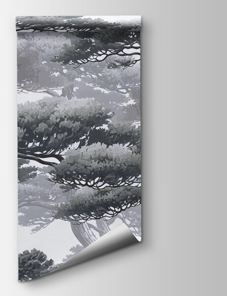 Fototapeta Grupa drzew z gałęziami, Fototapety Natura, Popularne Fototapety, w01755v1 - Tapeko.pl