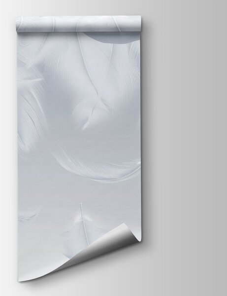 Fototapeta Spadające białe pióra, Fototapety pióra, Popularne Fototapety, w01150v2 - Tapeko.pl