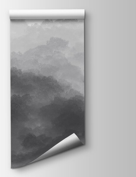 Fototapeta Czarno-biały obraz chmur, Fototapety Niebo, Popularne Fototapety, w01880v3 - Tapeko.pl