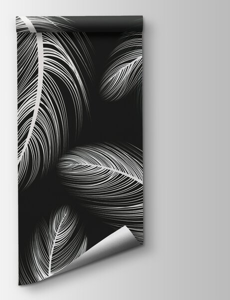 Fototapeta Grupa białych piór, Fototapety pióra, Popularne Fototapety, w02369v4 - Tapeko.pl