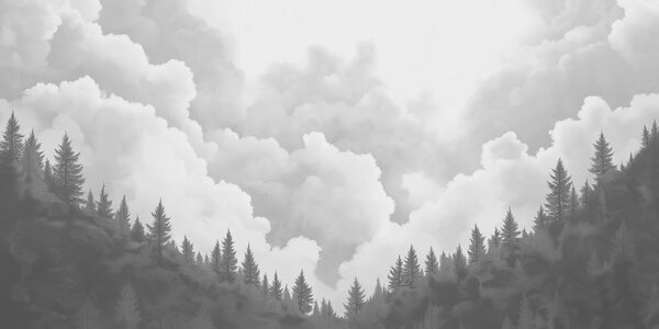 Fototapeta Czarno-białe zdjęcie lasu, Fototapety Natura, Popularne Fototapety, w02411v3 - Tapeko.pl