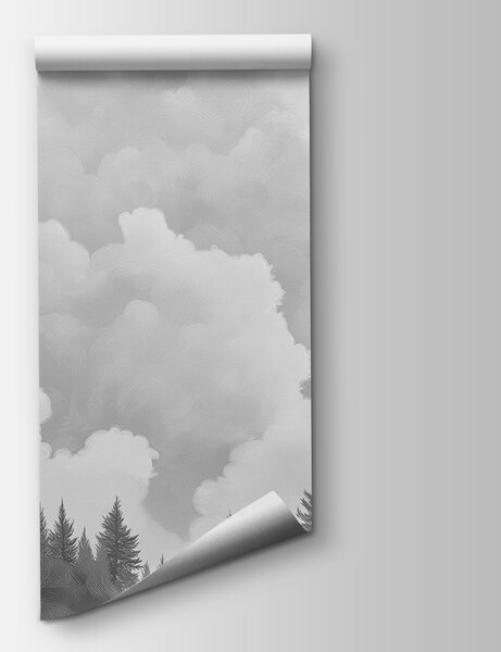 Fototapeta Czarno-białe zdjęcie lasu, Fototapety Natura, Popularne Fototapety, w02411v3 - Tapeko.pl