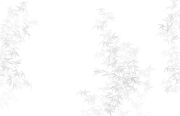 Fototapeta Białe tło z liśćmi, Fototapety Natura, Popularne Fototapety, w08555v1 - Tapeko.pl