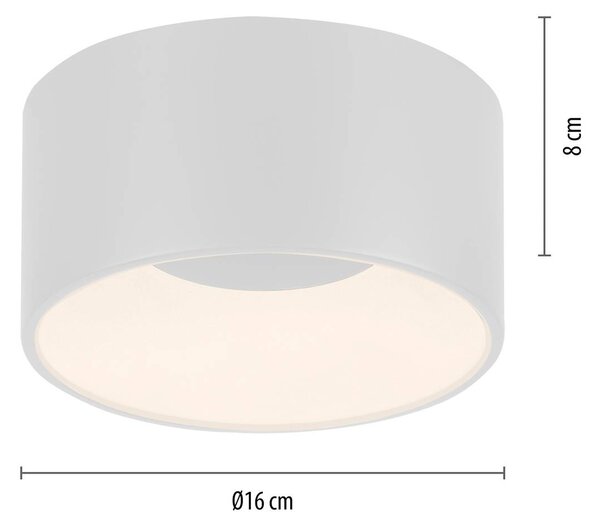 JUST LIGHT. GmbH Lampa sufitowa LED Tanika, możliwość ściemniania, biały / opal, salon / jadalnia, ceramika, nowoczesny
