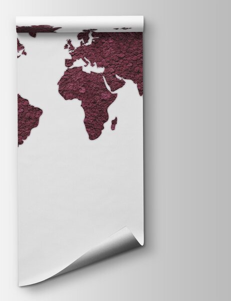 Fototapeta Mapa świata, Fototapety z mapami świata, Popularne Fototapety, w02657v5 - Tapeko.pl