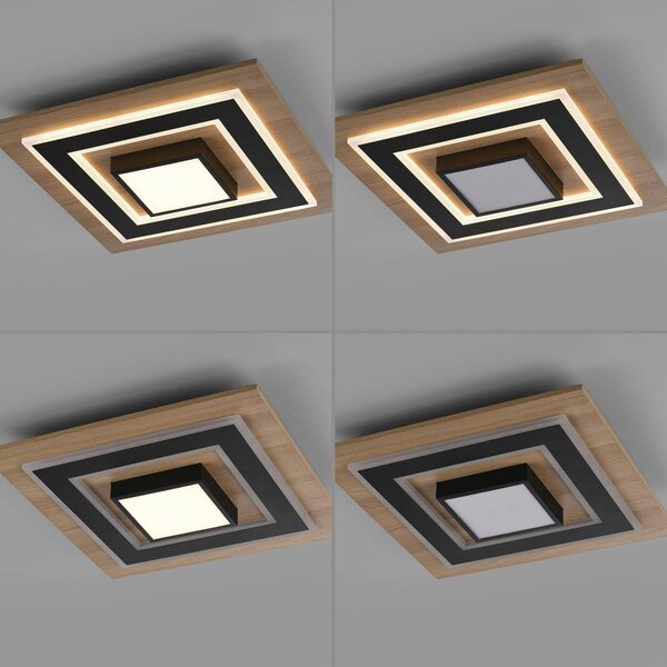 JUST LIGHT. GmbH Lampa sufitowa Tola, jasne drewno, salon / jadalnia, drewno, nowoczesny