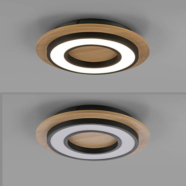 JUST LIGHT. GmbH Lampa sufitowa Tola, jasne drewno, salon / jadalnia, drewno, nowoczesny