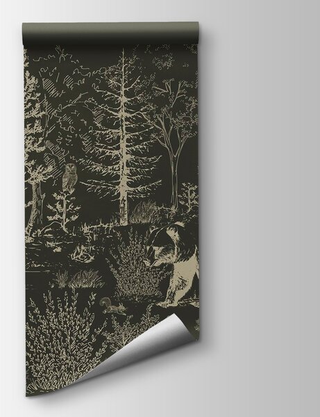 Fototapeta Niedźwiedź spacerujący po lesie, Fototapety z zwierzętami, Popularne Fototapety, w02929v3 - Tapeko.pl