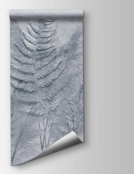 Fototapeta Grupa liści paproci, Fototapety Natura, Popularne Fototapety, w03316v1 - Tapeko.pl