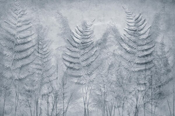 Fototapeta Grupa liści paproci, Fototapety Natura, Popularne Fototapety, w03316v1 - Tapeko.pl