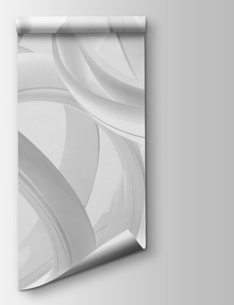 Fototapeta Grupa białych pierścieni, Fototapety 3d, Popularne Fototapety, w03674v2 - Tapeko.pl