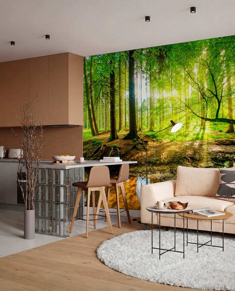 Fototapety Przejrzystość leśnego potoku, Fototapety Natura, u93621 : Uwalls.pl